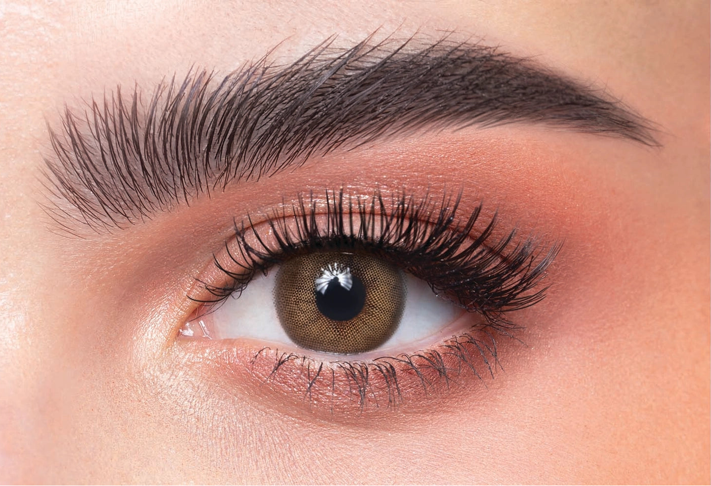 Close-up of a brown eye lenses