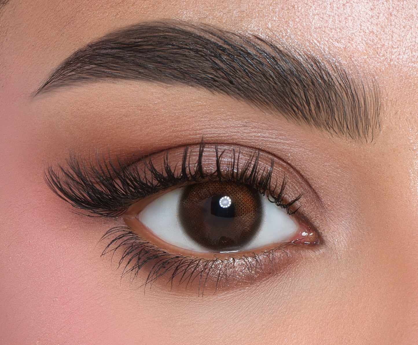 Paris Bronze