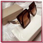 Dior Brown Frame Elegant Style
