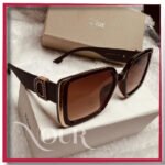 Dior brown Frame with gold touch